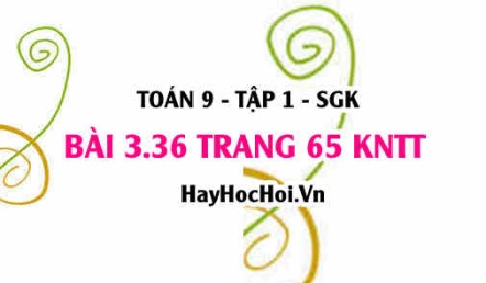 Bài 3.36 trang 65 Toán 9 tập 1 Kết nối tri thức